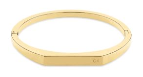 35000046 Calvin Klein Faceted Bar Bangle 35000046