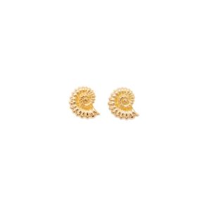 R01003-FG Pico Caracol