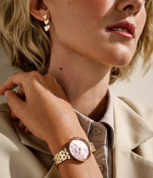 Skagen Anita Lille SKW3165